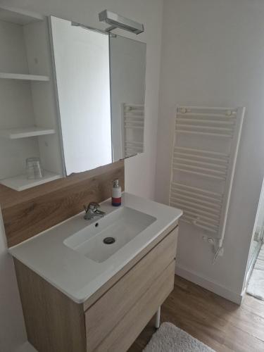 a bathroom with a sink and a mirror at Appartement 2 Ch la Romagne in La Romagne