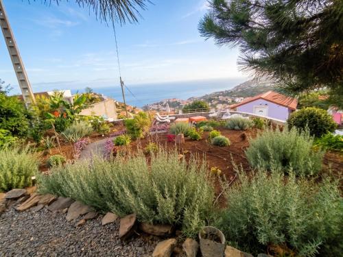 Charming lodge in Ponta do Sol with private pool