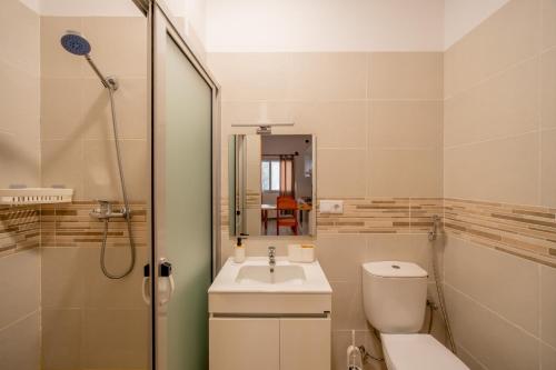 a bathroom with a toilet and a sink and a shower at My Boavista 2 in Sal Rei