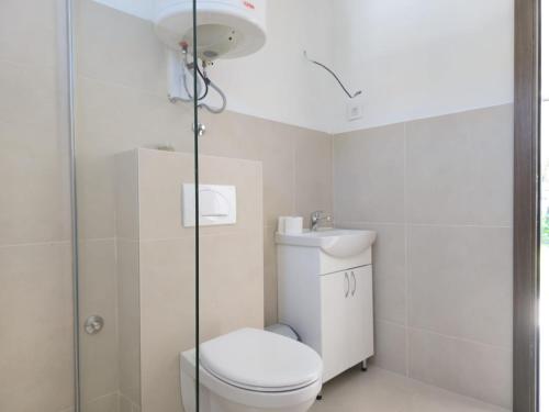 a bathroom with a toilet and a glass shower at Imanje Dorf in Ravno Selo