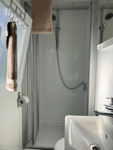 a bathroom with a shower and a toilet and a sink at Reetblick in Haseldorf