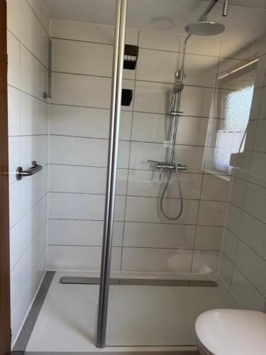 a shower with a glass door in a bathroom at Ferienhaus Tal in Geislingen