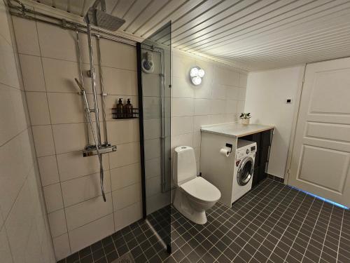 a bathroom with a toilet and a washing machine at Sandmo Holiday Home 13 in Eckerö