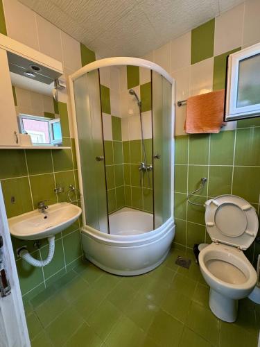 a bathroom with a shower and a toilet and a sink at Deskom Žuta Vila in Veliko Gradište