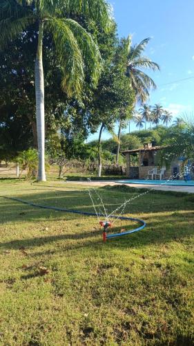 a hula hoop in the grass near a palm tree at Kite House Barreiras in Macau