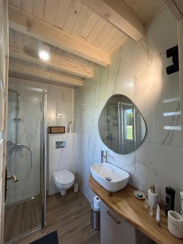 a bathroom with two sinks and a shower and a mirror at Noclegi u Dąbka 2 in Głębokie