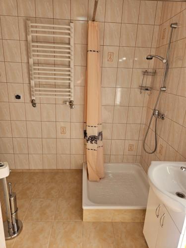 a bathroom with a shower and a tub and a sink at Pokoje Szmaragd in Kudowa-Zdrój