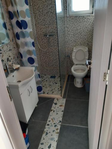 a bathroom with a toilet and a sink and a shower at Apartman Selišta in Danilovgrad