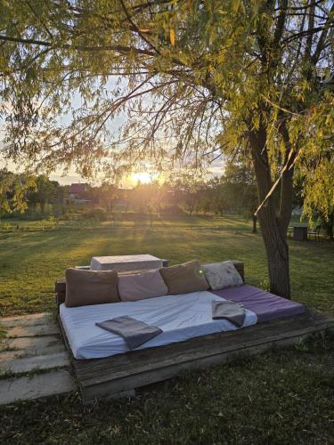 a bed sitting under a tree in a field at Lavander Garden in Răscruci