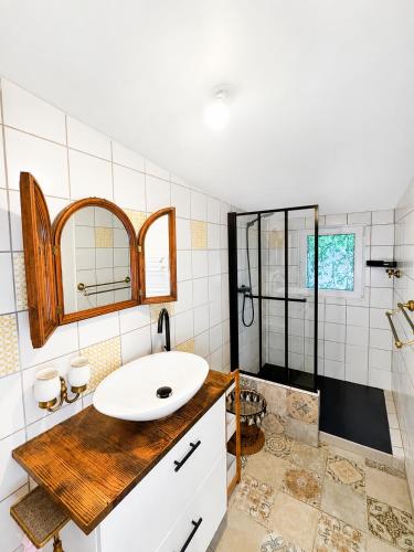 a bathroom with a sink and a mirror at Chalet Forestôchat in Tressé
