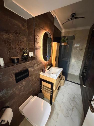a bathroom with a sink and a toilet and a mirror at Luma Apartment in Tecuci