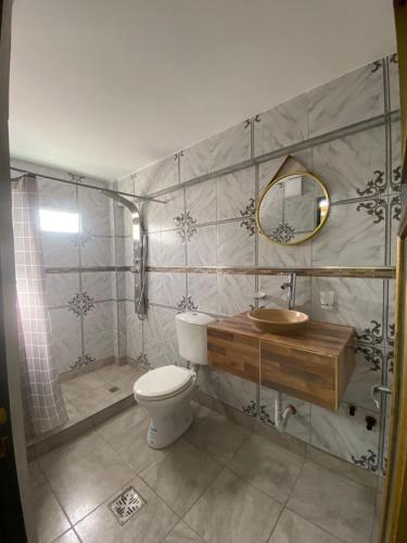 a bathroom with a toilet and a sink and a shower at Hotel Altos de la Puna in San Antonio de los Cobres