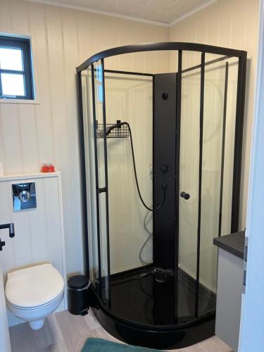 a shower in a bathroom with a toilet at Akrar guesthouse in Hella