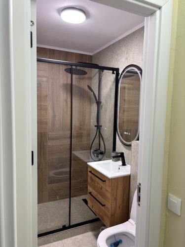 a bathroom with a shower and a toilet and a sink at MOuntain View Apartment in Câmpulung