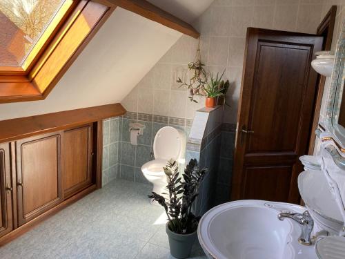 a bathroom with a toilet and a sink at Wahwo Baki in Wachtebeke