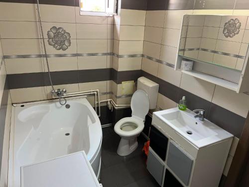 a small bathroom with a toilet and a sink at Pensiunea Florian in Tulcea