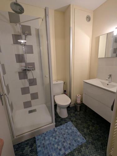 a bathroom with a shower and a toilet and a sink at Studio Issoire pour 2 adultes et 1 enfant in Issoire