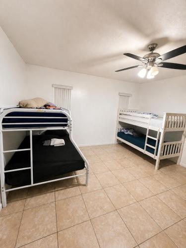 a bedroom with two bunk beds and a ceiling fan at Miami City Hostel in Miami