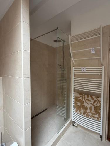 a shower with a glass door in a bathroom at Hřensko 27 Apartmány in Hřensko