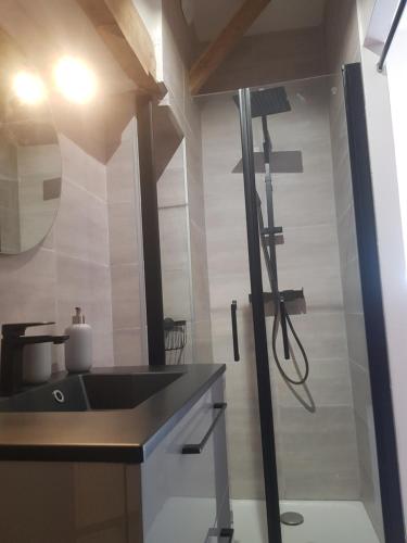 a bathroom with a sink and a shower at Maison d'hôtes en grès rouge in Lanteuil