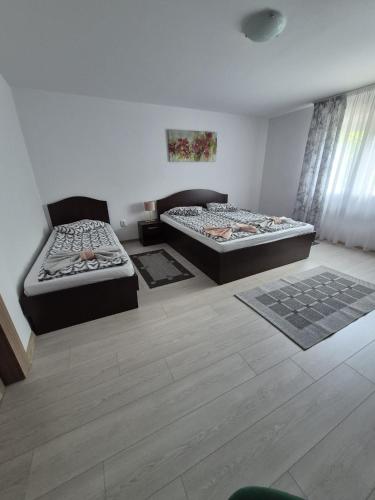 a room with two beds and a couch at Casa De Oaspeti Anna in Sovata
