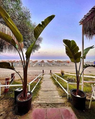Villa Mágica Benalmadena photo 23