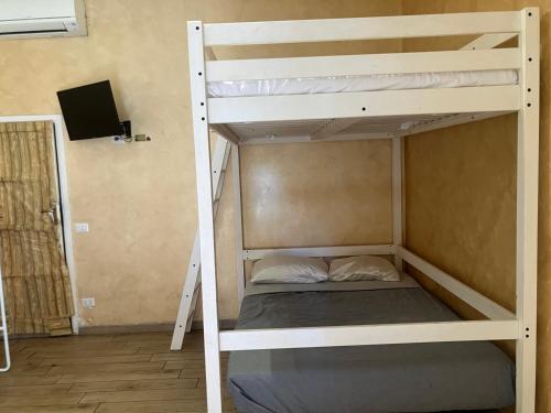 Ciclamini nuova