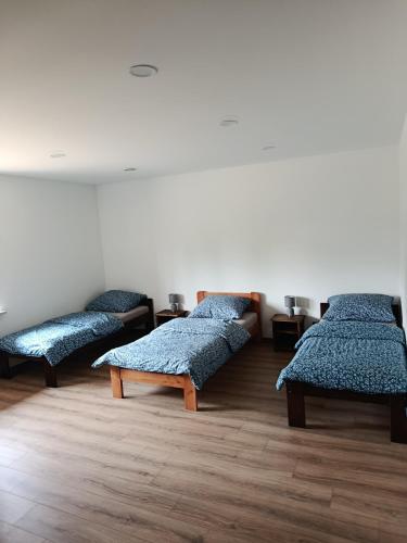a room with four beds with blue pillows at Noclegi u Kozickich in Tomaszów Lubelski