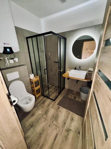 a bathroom with a toilet and a sink at Ubytování U Špíšků in Jaroslavice