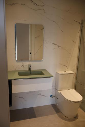 a bathroom with a toilet and a sink and a mirror at MoV Flexliving in Oviedo