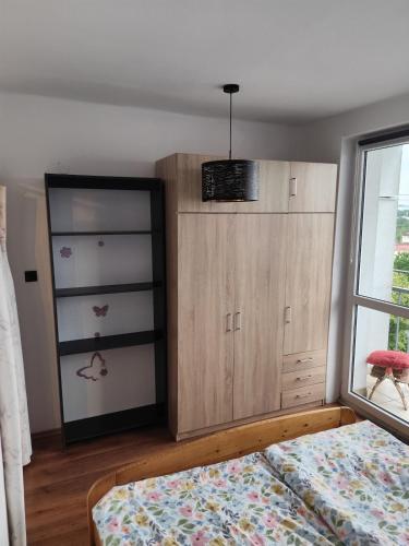 a bedroom with a bed and a cabinet and a window at Apartman Elizabeth in Pardubice