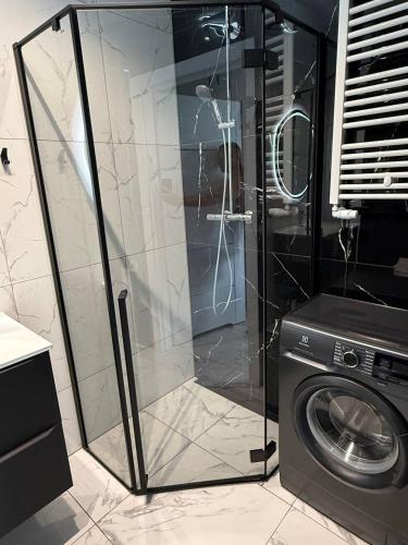 a shower and a washing machine in a bathroom at Apart Premium Ku Morzu in Sianozety