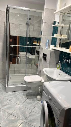 a bathroom with a shower and a toilet and a sink at Friendly House in Bolesławiec