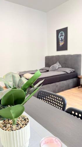 schönbrunn Family Apartment HL3
