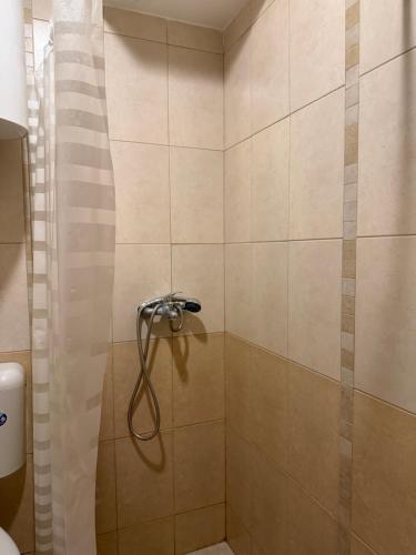 a shower with a hose in a bathroom at Power view in Bečići