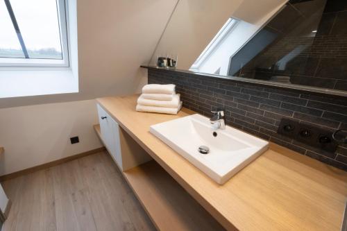 a bathroom with a sink and a mirror at Vakantiewoning Maison Chaperon in Wervik