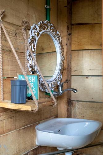 a bathroom with a mirror and a sink at Divlji Mir in Dobro Polje