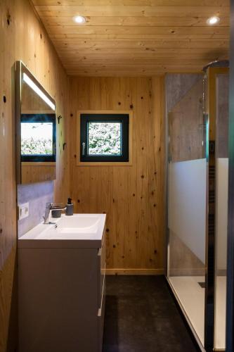 a bathroom with a sink and a shower at Gîte de la Bridolée, sauna et bain nordique in Lorquin