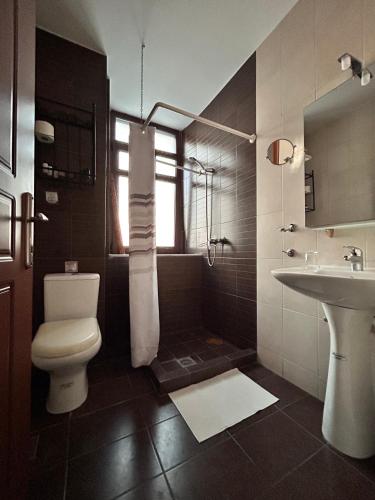 a bathroom with a toilet and a sink at Archontiko Tsikari in Város