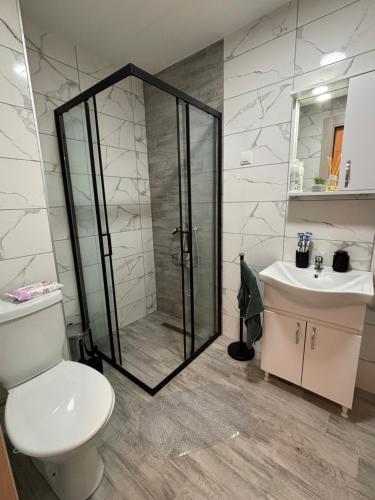 a bathroom with a shower and a toilet and a sink at Apartman NOVA in Kragujevac