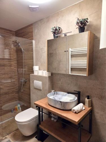 a bathroom with a sink and a toilet at Petar in Kamešnica