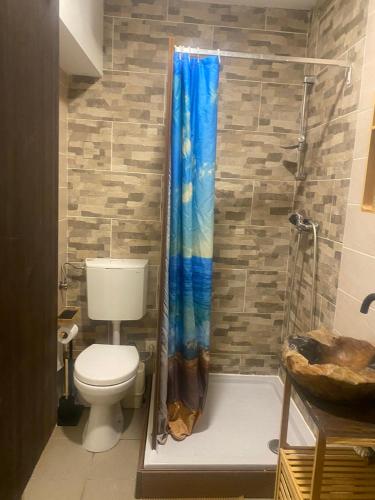 a bathroom with a toilet and a shower at Old town Wall Radovljica - Appartment in Radovljica