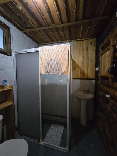 a bathroom with a shower with a toilet and a sink at Refugio de la Montaña 2 personas in Coñaripe