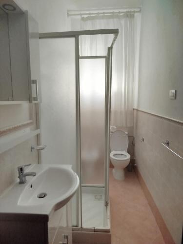 a bathroom with a shower and a sink and a toilet at Camera matrimoniale Capannori, Lucca in Capannori