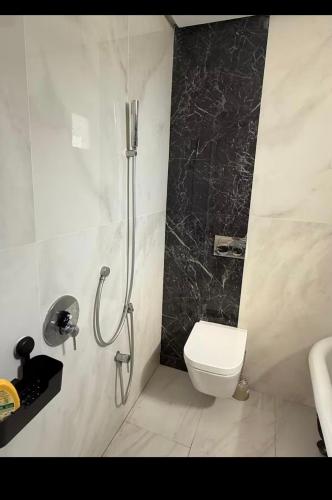 a bathroom with a shower and a toilet in it at Vue Mer in Hammamet Nord
