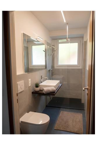 a bathroom with a toilet and a sink and a mirror at Arturs B&B Roveredo in Roveredo