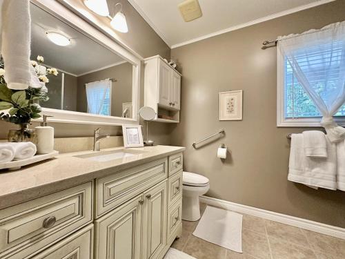 a bathroom with a sink and a toilet and a mirror at Waterfront 22' Windows Starlink Kayaks in Tobermory