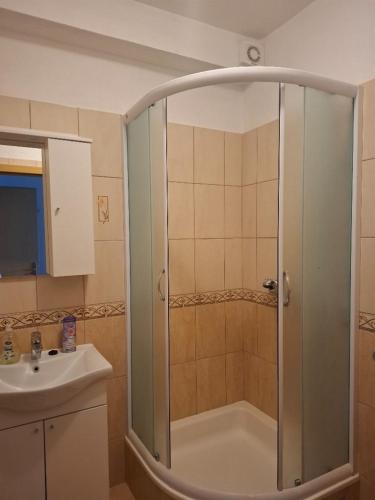 a bathroom with a shower and a sink at Apartments with parking space Igrane, Makarska - 13535 in Igrane