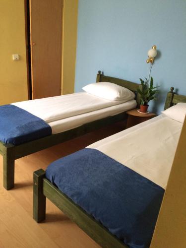a bedroom with two beds and a plant on the floor at Pensiunea Casa Raul in Cluj-Napoca