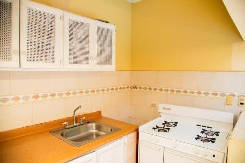 a kitchen with a white stove and a sink at Boom Ranch in Palmarito